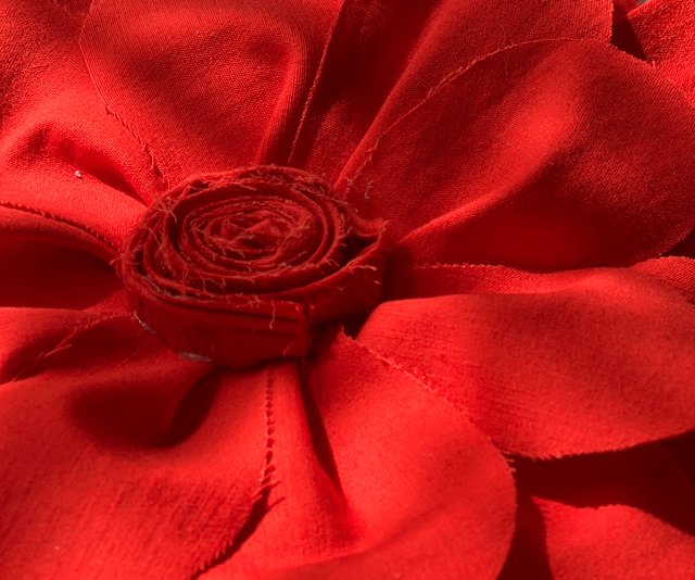 Rosa rossa